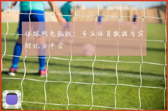体球网电脑版：专业体育数据与实时比分平台