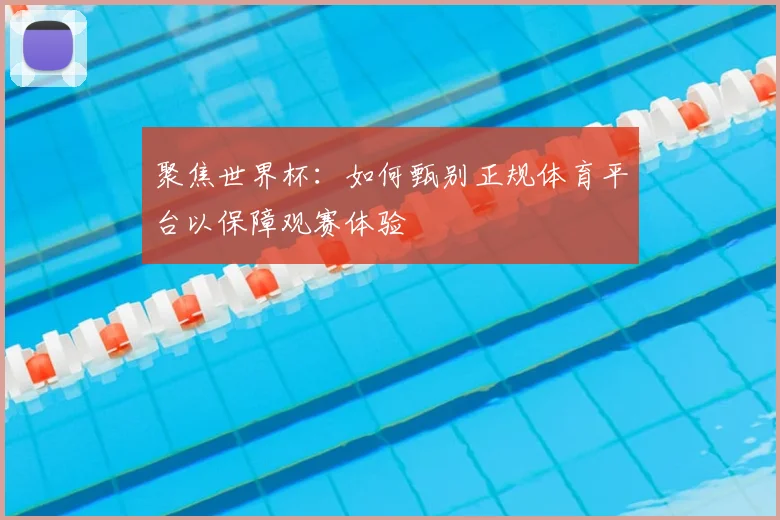 聚焦世界杯：如何甄别正规体育平台以保障观赛体验