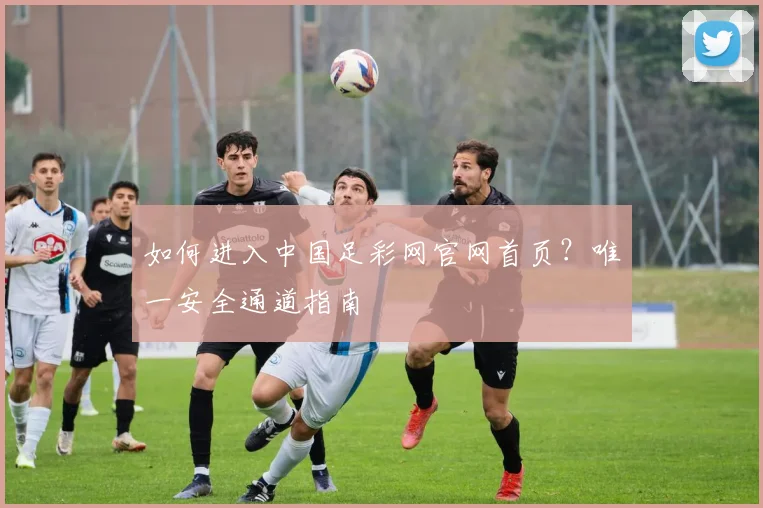 如何进入中国足彩网官网首页？唯一安全通道指南