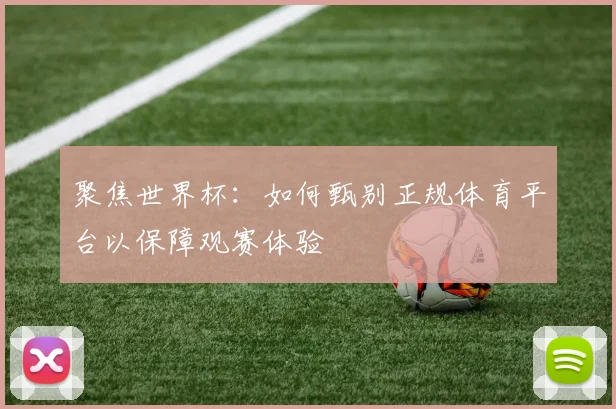 聚焦世界杯：如何甄别正规体育平台以保障观赛体验