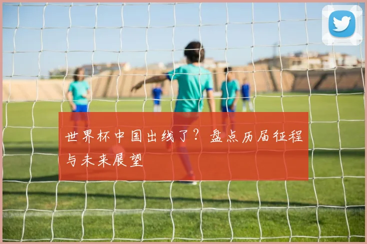 世界杯中国出线了?盘点历届征程与未来展望
