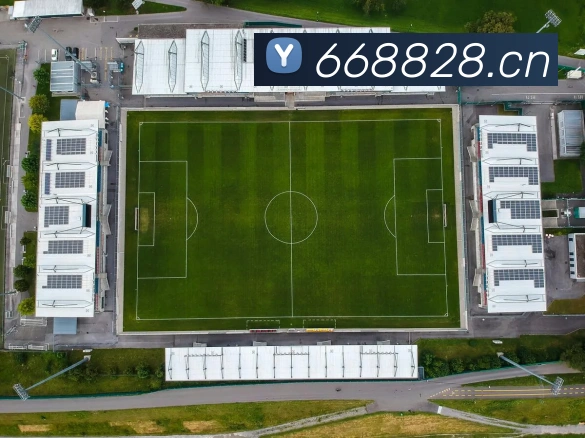 开云在线官方网站APP 体育赛事宣传图